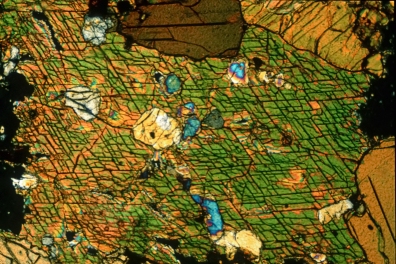 Amphibole brune (Hornblende) LPA x16